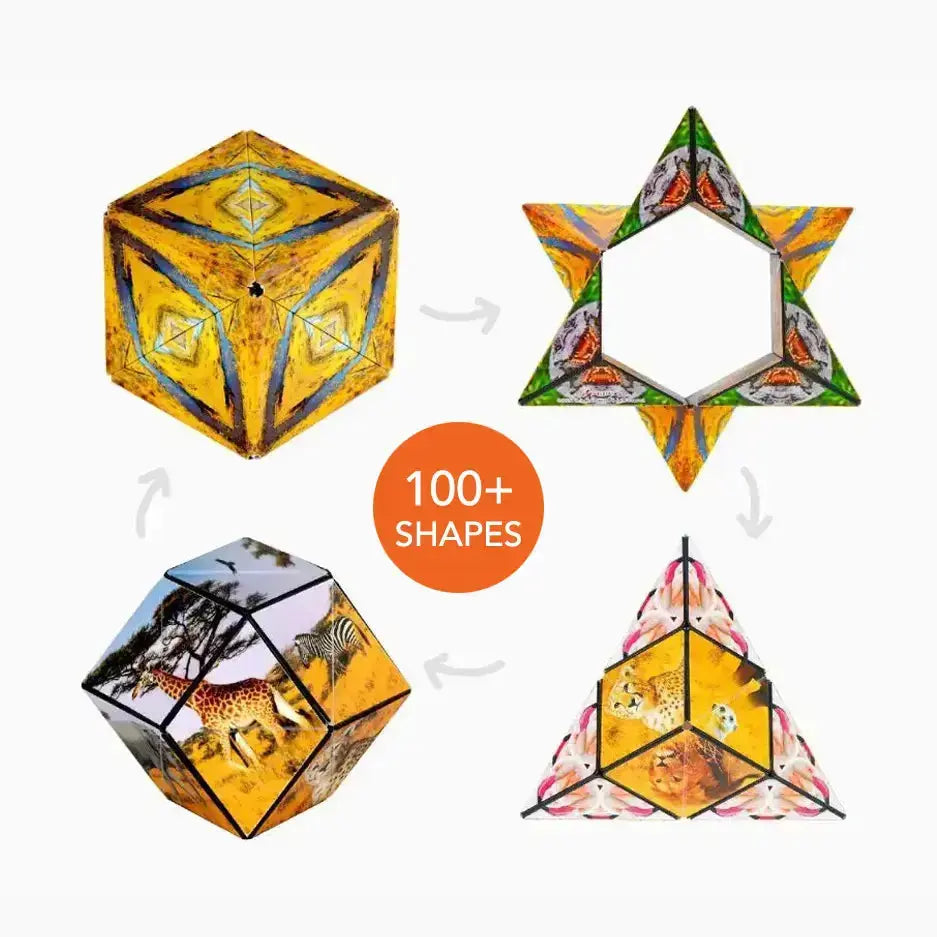 Wild Series - Flavorful Complete Shashibo Assortment