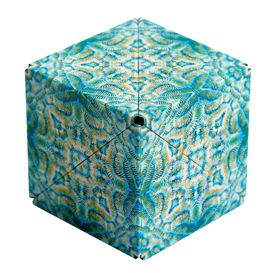 Explorer Series - Dynamic Expressive Series Assortment