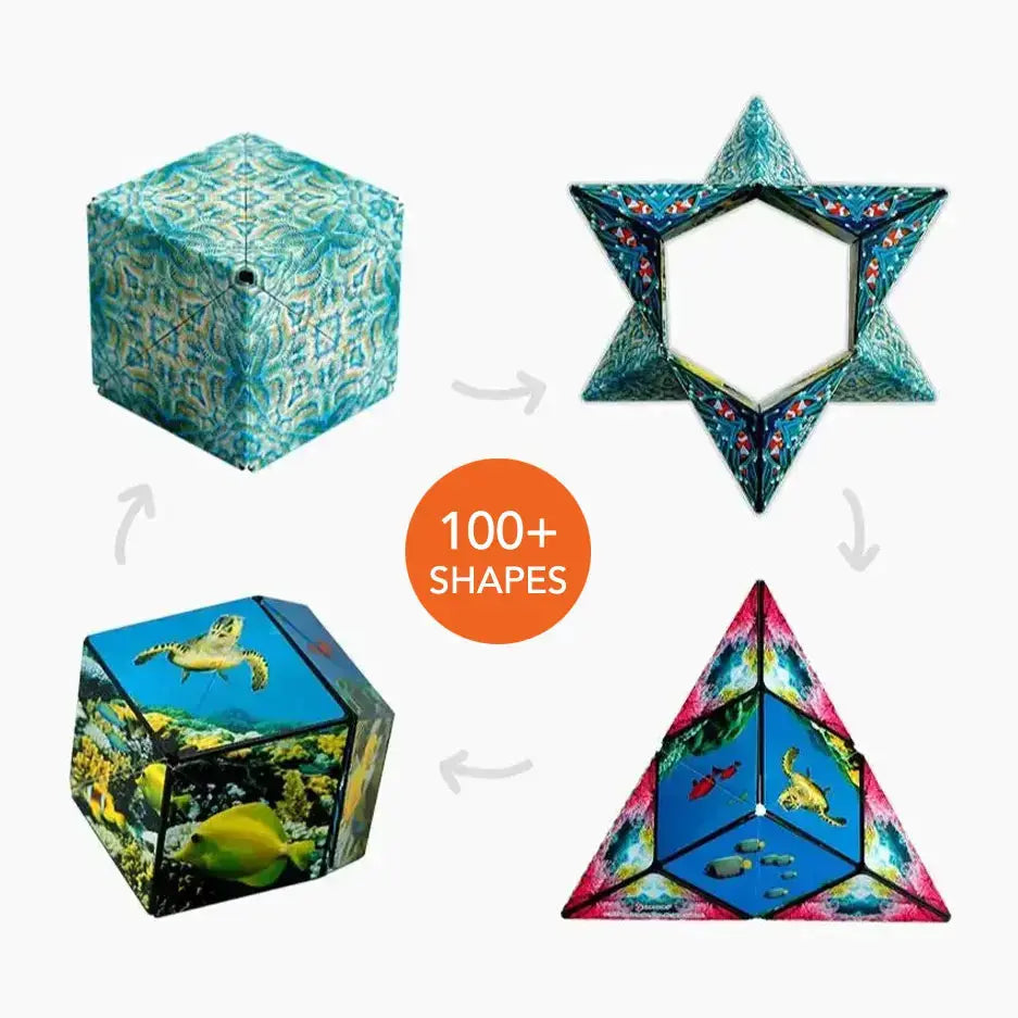 Explorer Series - Dynamic Expressive Series Assortment